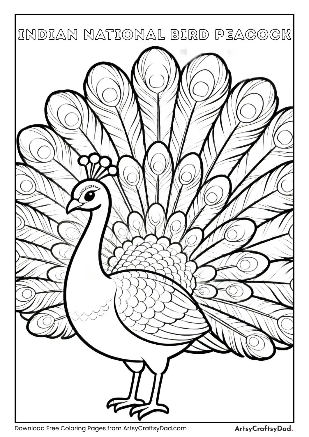 Indian peacock black and white coloring page national bird for kids