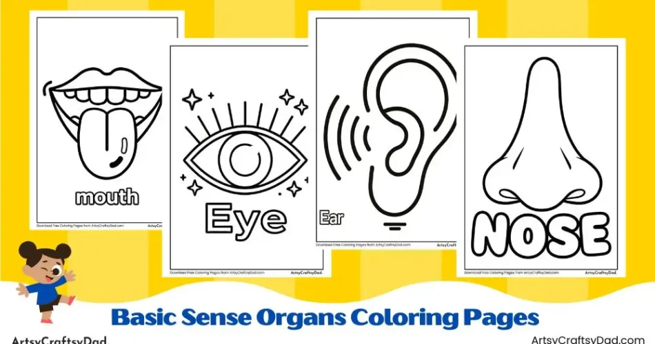 Basic Sense Organs Coloring Pages for Kids